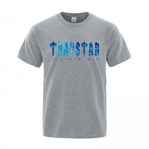 Trapstar London Chenille Tee Muške Majice Sive Hrvatska | TO61-114