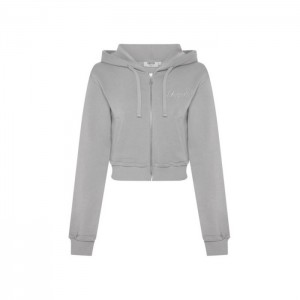 Trapstar TS-Star Silver Satin Applique Hoodie Ženske Majica s Kapuljačom Sive Hrvatska | NB04-948